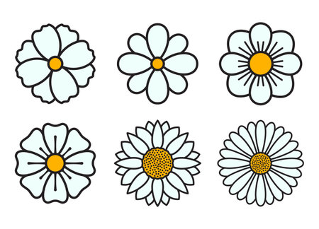 Simple daisy, chamomile and marguerite flower icons. Set of wild flowers with petals. Vector illustration isolated on white backgroundのイラスト素材