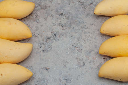yellow mango on a gray background. mango from Thailand. Horizontal Orientation. Place for text. Copy spaceの写真素材