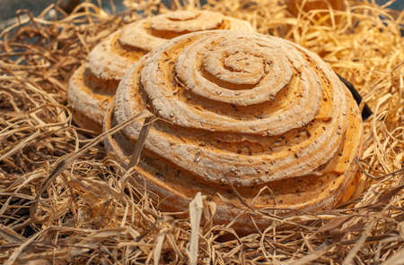 Different types of handmade breadの写真素材
