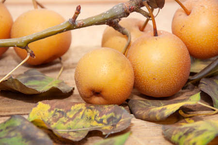 Fruits of apples on a wooden background in spring foliage, textureの写真素材