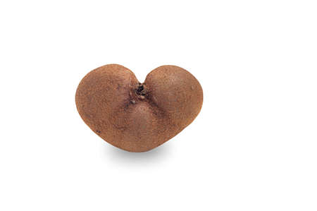 Heart shaped kiwi fruit on white backgroundの写真素材