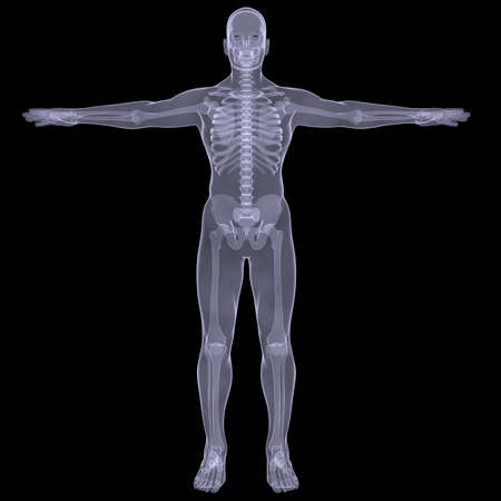 X-ray of man  Render on a black backgroundの写真素材