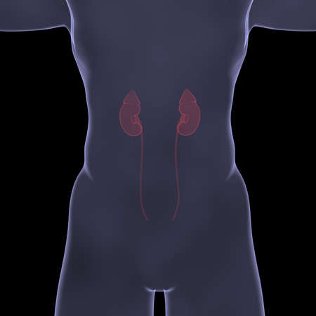 X-Ray picture of a person  Sore digestion  Isolated render on a black backgroundの写真素材
