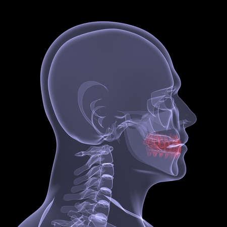 X-Ray picture of a person  Sore digestion  Isolated render on a black backgroundの写真素材