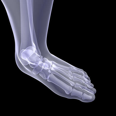 The human foot  X-ray render on a black backgroundの写真素材
