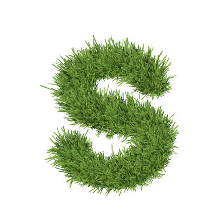 Letter of the alphabet made from grass  Isolated render on a white backgroundの写真素材