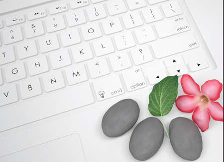 Flower, leaf and three stone for massage on the keyboard  View from above