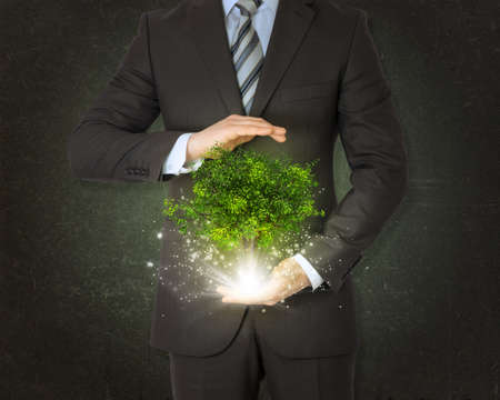 Businessmen hold magical green tree and rays of lightの写真素材