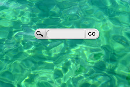 Search bar in browser