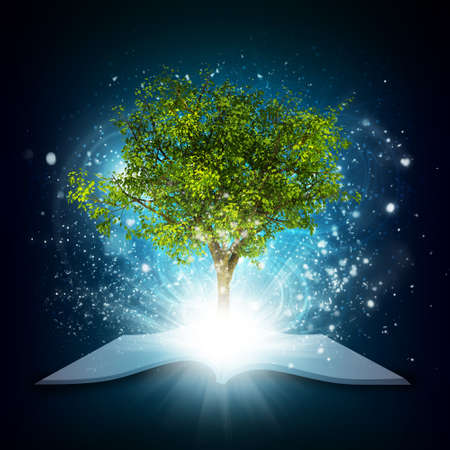 Open book with magical green tree and rays of lightの写真素材