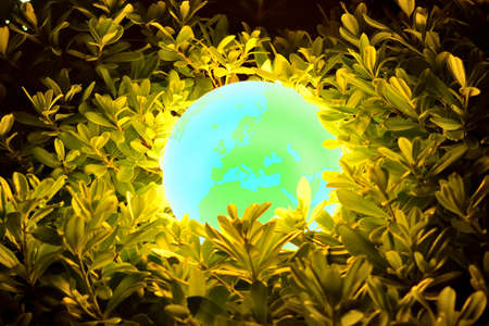 Glowing Earth through leaves and branchesの写真素材