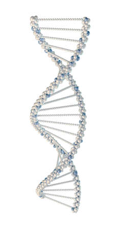 Human dna stringの写真素材