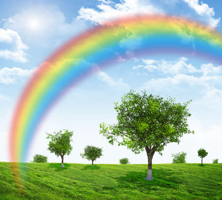 Landscape with rainbow, green field and treesの写真素材
