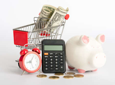 Shopping cart with dollars on isolated white background, side viewの写真素材