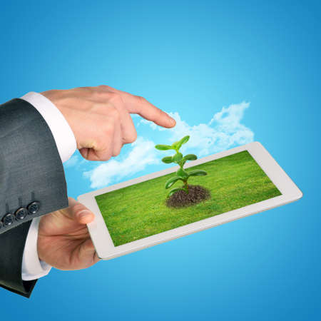 Businessman pointing at tablet with plant on blue backgroundの写真素材