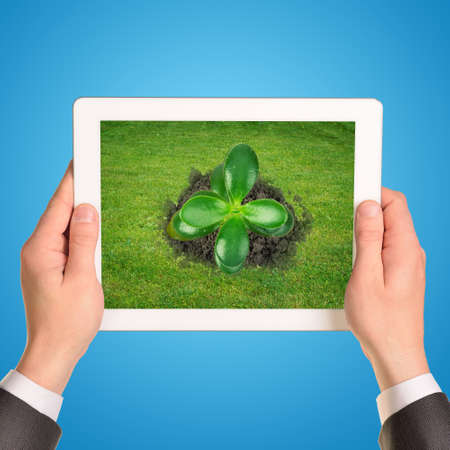 Businessman holding tablet with plant on blue backgroundの写真素材