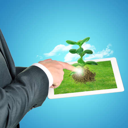Businessman touching tablet with plant on blue backgroundの写真素材