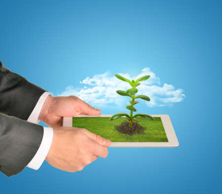 Businessman holding tablet with plant on blue backgroundの写真素材