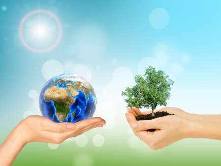 Humans hands holding tree with ground and Earth on colorful background. Elements of this image furnished by NASAの写真素材