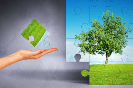Woman hand holding puzzle piece of picture with natureの写真素材
