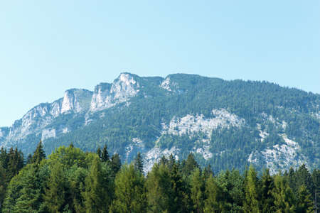 Mountain with green trees and blue sky, closeup