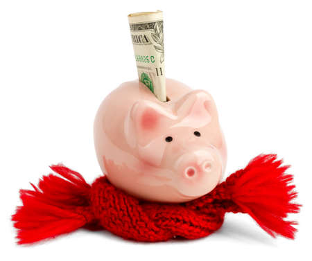 Pink piggy bank with red scarf and dollar. Business conceptの写真素材