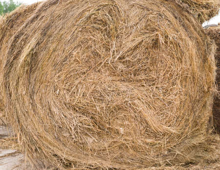 Close up detailed view of stack of hayの写真素材