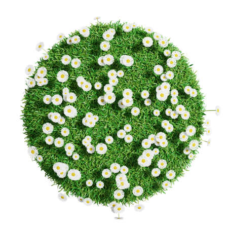 Natural grass arena with flowers isolated on white background. Arena for your design. The symbol of spring, environment, growth and nature. 3D illustration. Top viewの写真素材