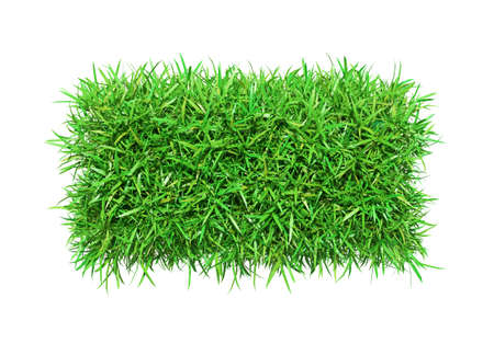 Green grass minusの写真素材