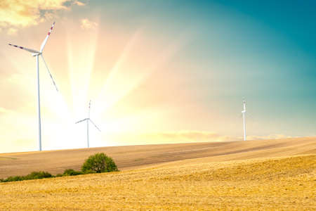 Wind turbines farm power generator
