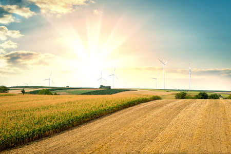 Sunset summer landscapeの写真素材