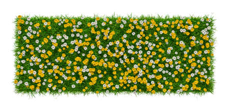 Close-up of grass carpet with flowers