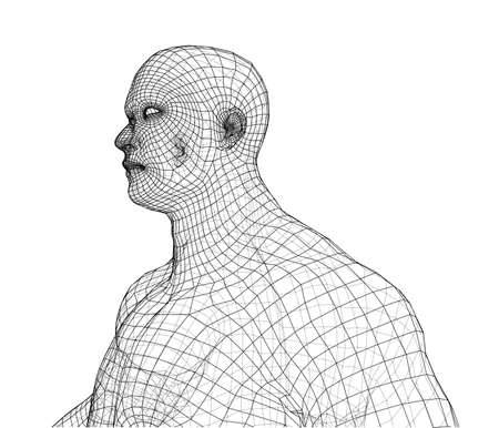 Wire frame athlete body on white background. Vector rendering of 3d.のイラスト素材
