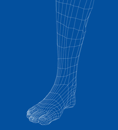 Wireframe leg. Close-up viewのイラスト素材