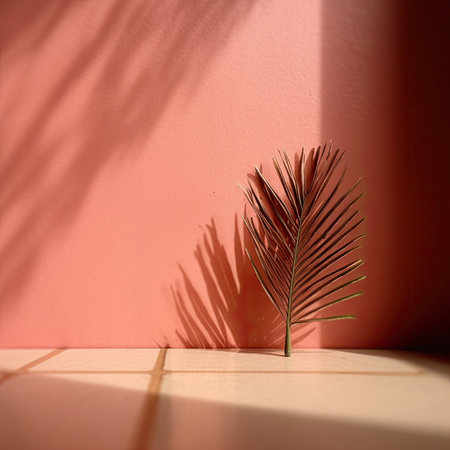 Plastered wall, plant and shadowsの素材