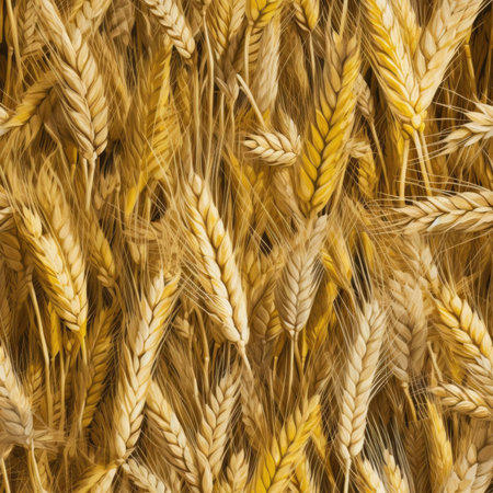 Seamless texture of ears of wheatの素材