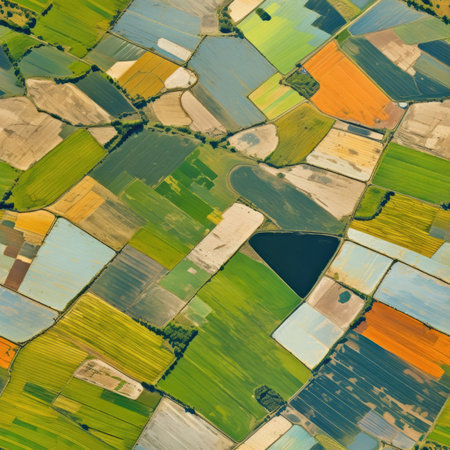 Top view of summer farmers fieldsの素材