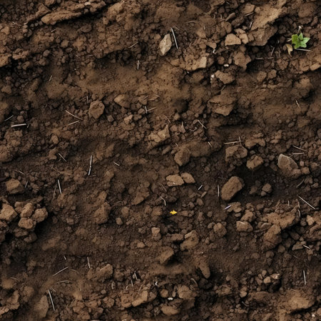Seamless soil textureの素材