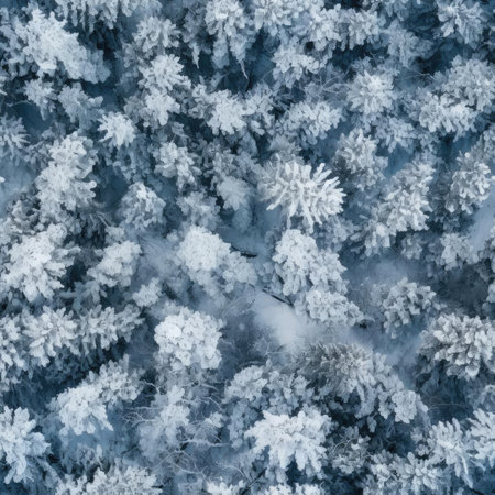 Seamless texture of winter forestの素材