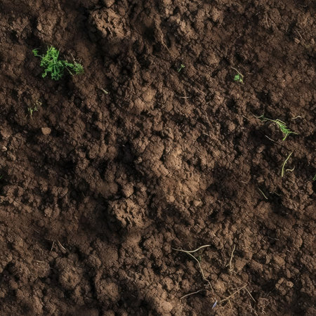 Seamless soil textureの素材
