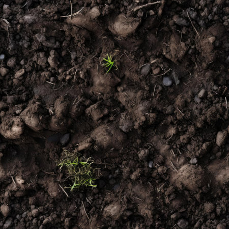 Seamless soil textureの素材