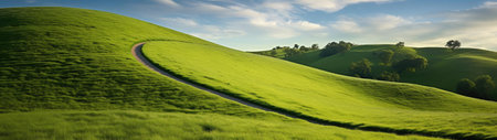 The road that goes through the green hillsの素材