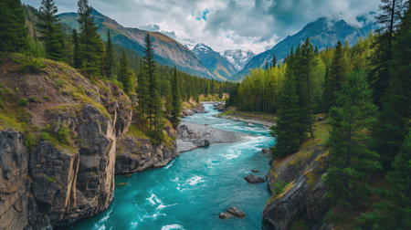 High shot on river in the middle of the forestの素材
