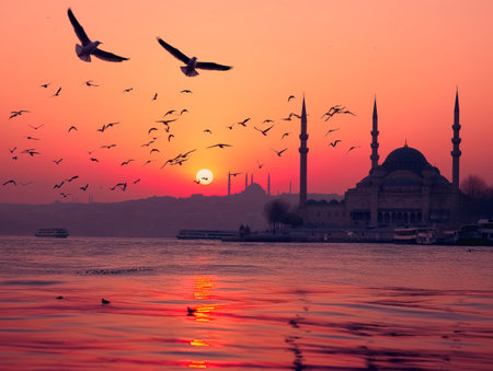 Flock of seagulls flying over the sea with iconic Istanbul silhouette and vivid sunset sky in the background.の素材