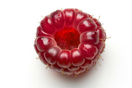 A single ripe raspberry with water droplets, isolated on a white backdrop, showcasing its texture and freshness.の素材