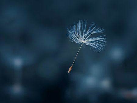 A delicate dandelion seed floats gracefully against a serene, blurry blue background.の素材