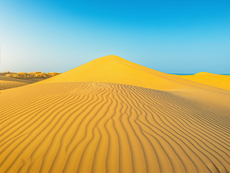 Rippling golden sand dunes stretch under a clear blue sky, with sparse vegetation in the distanceの素材