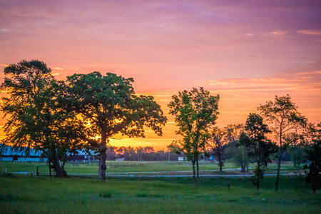 Sunset over a colorful cloudscape in twilight at Katy Allen Lake, Nevadaのeditorial素材