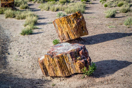 The Newspaper Rock in Petrified Forest National Park, Arizona
