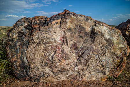 The Newspaper Rock in Petrified Forest National Park, Arizonaの写真素材